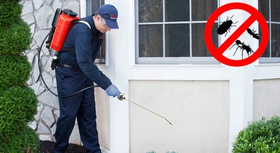 Yerköy Gümüşkurt İlaçlama böcek ilaçlama ve haşere kontrolü — ilaclama-tr.com